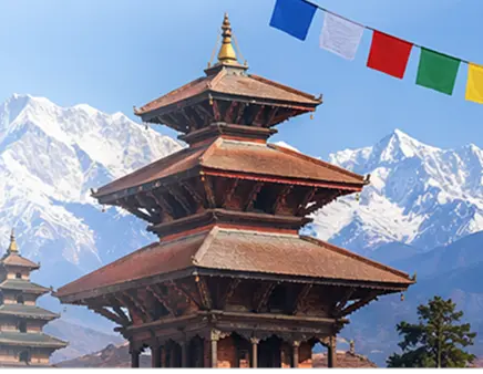 Find Nepali Businesses, Services, Jobs, and More — All in One Place with FindNepali